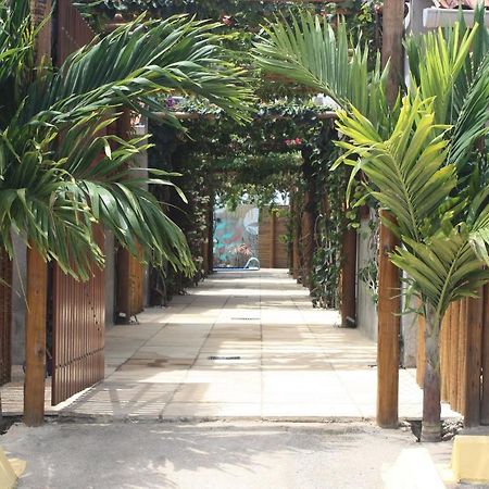 Chales Palhano Beach เซามิเกลโดสมีลาเกรส ภายนอก รูปภาพ